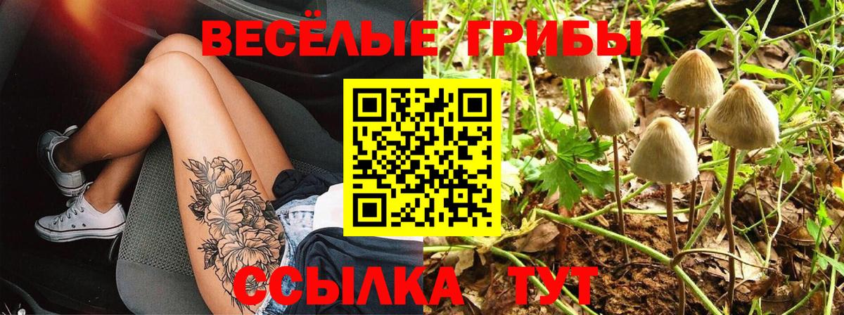 Псилоцибиновые грибы GOLDEN TEACHER Ачхой-Мартан